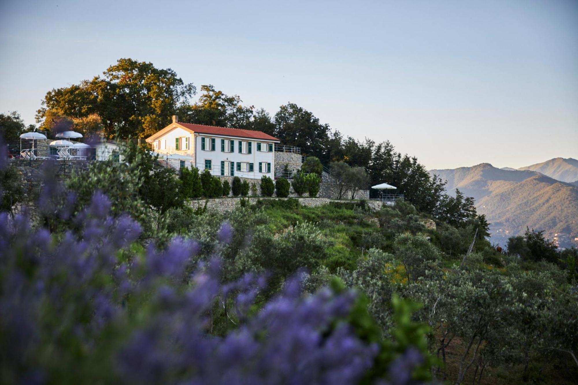 Il Leccio - Luxury Resort Portofino Monte Santa Margherita Ligure Zewnętrze zdjęcie