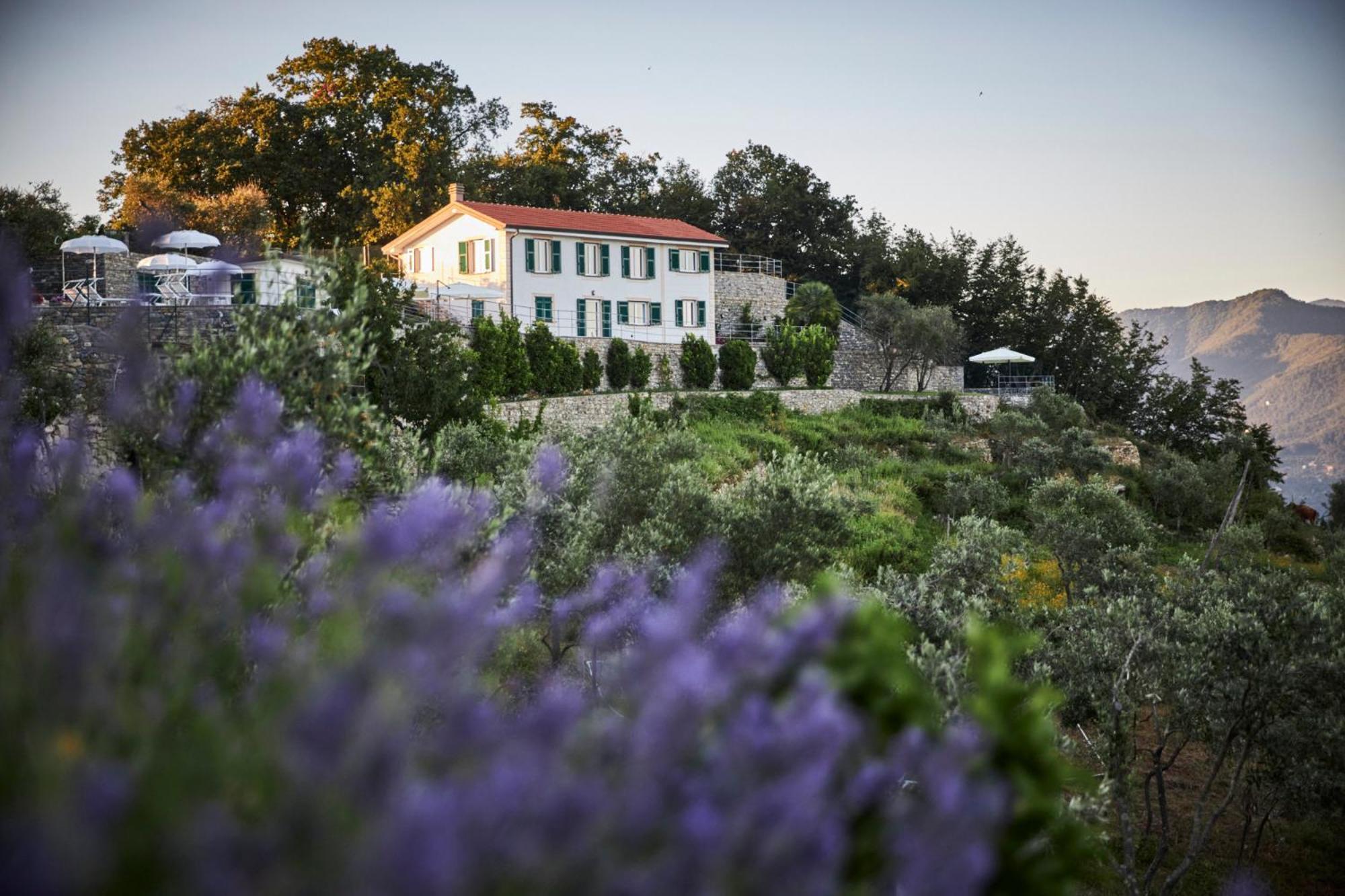 Il Leccio - Luxury Resort Portofino Monte Santa Margherita Ligure Zewnętrze zdjęcie