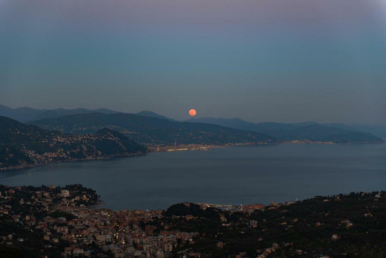 Il Leccio - Luxury Resort Portofino Monte Santa Margherita Ligure Zewnętrze zdjęcie